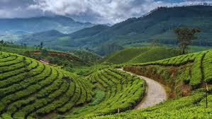 Munnar